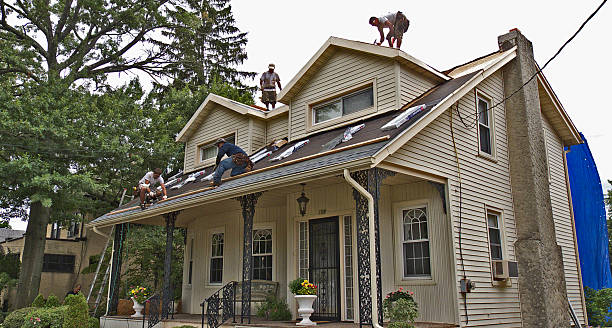 Best Roof Leak Repair  in Mapleton, MN