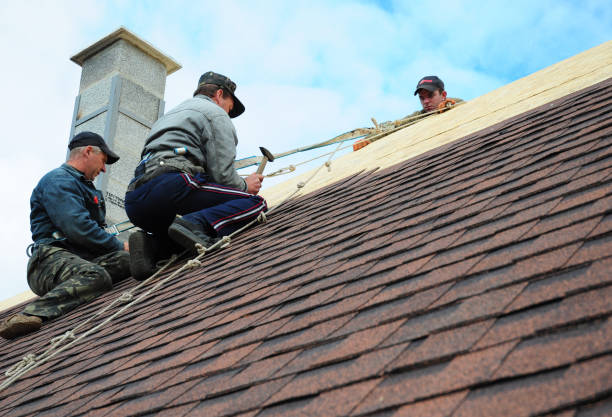 Quick and Trustworthy Emergency Roof Repair Services in Mapleton, MN