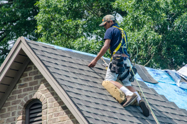 Best Storm Damage Roof Repair  in Mapleton, MN
